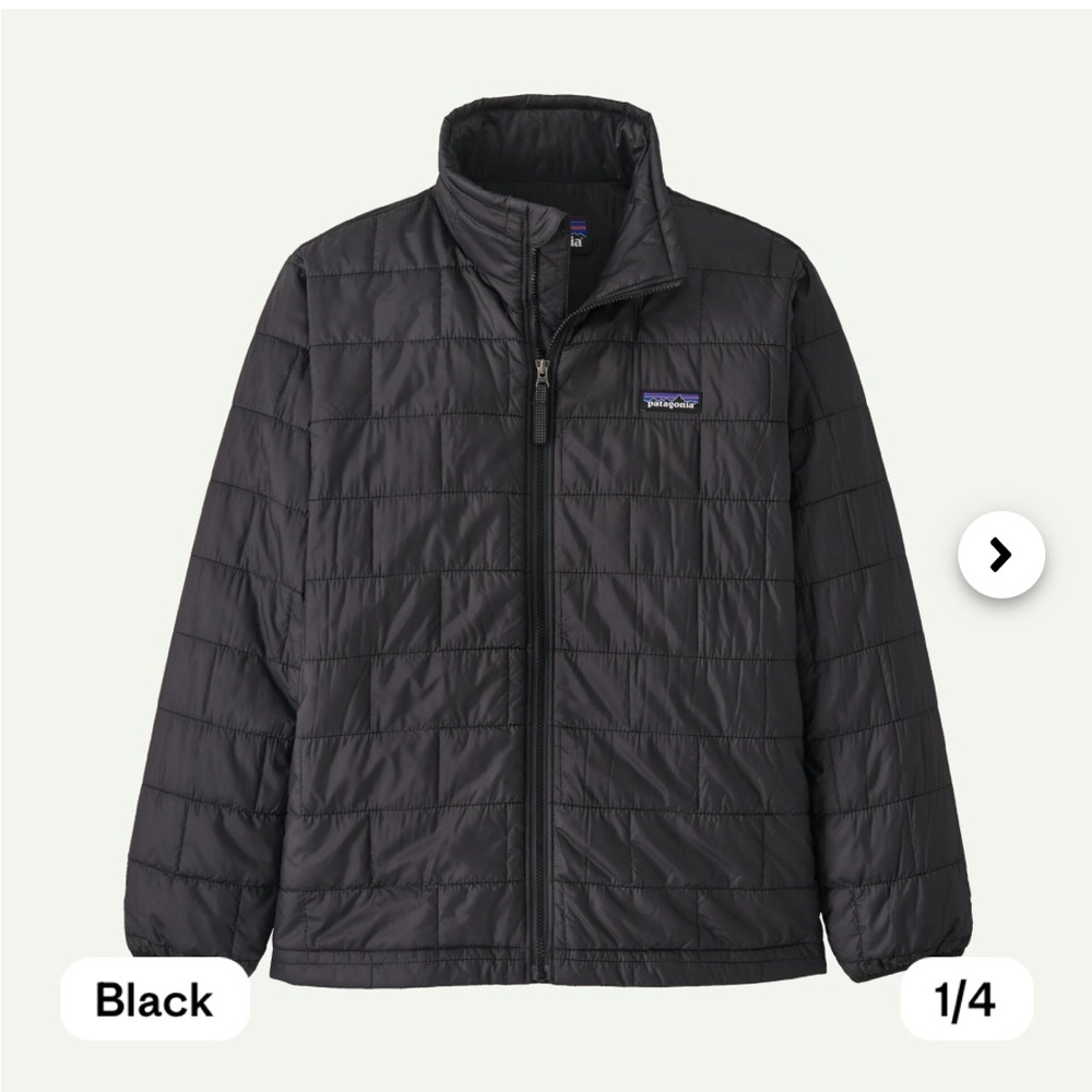 Patagonia Nano-Puff coat